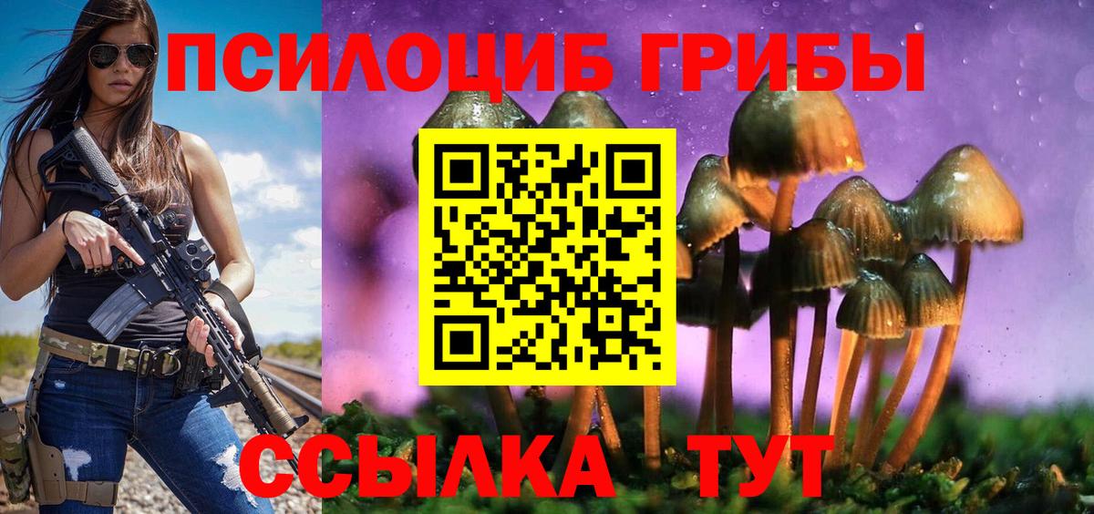Псилоцибиновые грибы Бийск